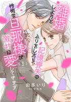 離婚しようと記憶喪失のふりをしたら、怜悧な旦那様が激甘に愛してきます【分冊版】（単話）