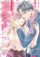 極上彼氏と秘密の甘恋〜出会ってすぐに溺愛されています〜 1