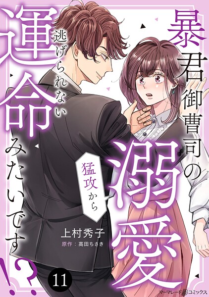 暴君御曹司の溺愛猛攻から逃げられない運命みたいです!?【分冊版】(単話)