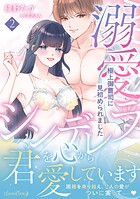 溺愛シンデレラ 極上御曹司に見初められました