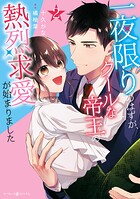 一夜限りのはずが、クールな帝王の熱烈求愛が始まりました 2