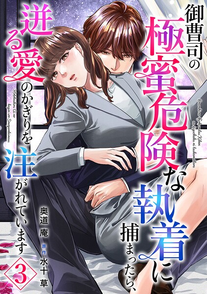 御曹司の極蜜危険な執着に捕まったら、迸る愛のかぎりを注がれています【分冊版】（単話）