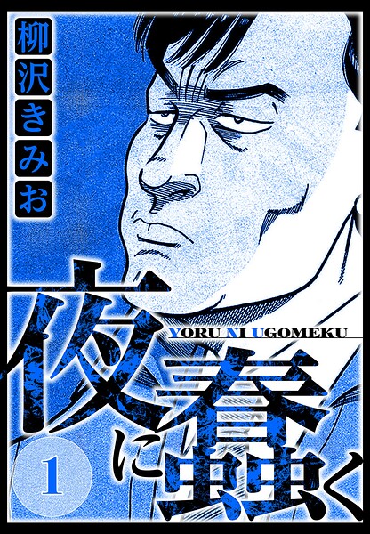 夜に蠢く 表紙