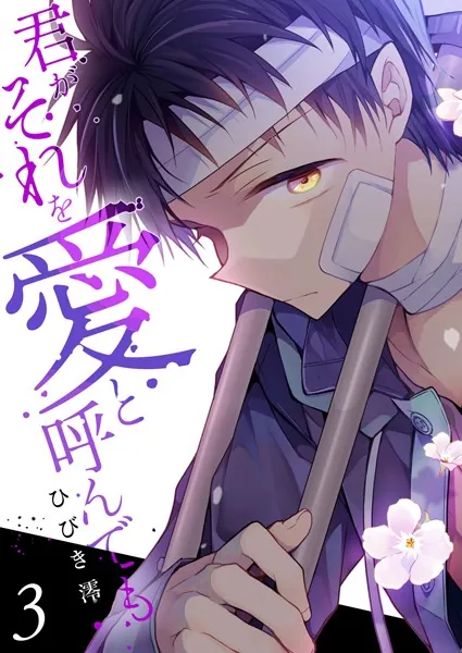 君がそれを愛と呼んでも【電子単行本版】3