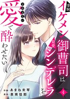凄腕イケメン御曹司は最愛シンデレラをとめどない愛で酔わせたい4