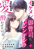 凄腕イケメン御曹司は最愛シンデレラをとめどない愛で酔わせたい（単話）
