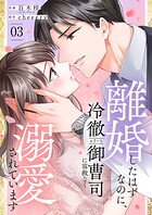 離婚したはずなのに、冷徹エリート御曹司に容赦なく溺愛されています【電子単行本版】 3