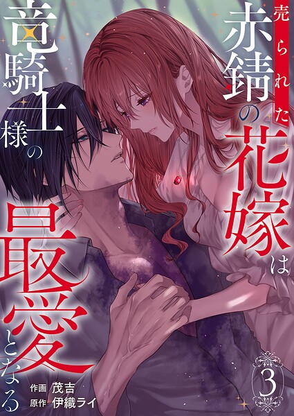 売られた赤錆の花嫁は竜騎士様の最愛となる【電子単行本版/特典おまけ付き】 3