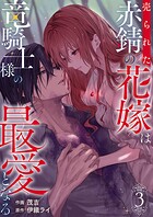 売られた赤錆の花嫁は竜騎士様の最愛となる【電子単行本版/特典おまけ付き】 3