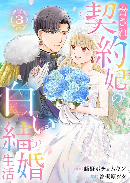 脅され契約妃の白い結婚生活【電子単行本版/特典おまけ付き】 3