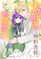 大好きな婚約者様、もうお別れしましょう。【電子単行本版/特典おまけ付き】 3