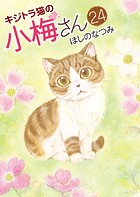キジトラ猫の小梅さん