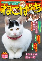 ねこぱんちNo.221 まるまり秋ネコ号 1