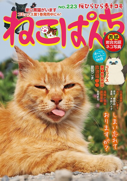 ねこぱんちNo.223 桜ひらひら春ネコ号