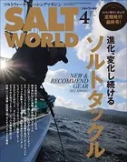 SALT WORLD