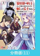 異世界の戦士として国に招かれたけど、断って兵士から始める事にした 【分冊版】（11）