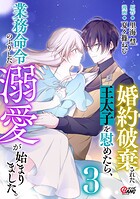 婚約破棄された王太子を慰めたら、業務命令のふりした溺愛が始まりました。 3