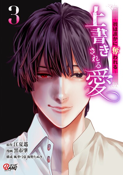 上書きされる愛〜彼は誰かに奪われる〜