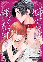 姉さんは俺が守る 2