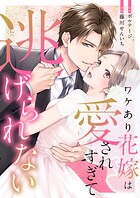 ワケあり花嫁は愛されすぎて逃げられない（4）