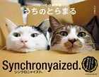 シンクロ姉妹猫 うちのとらまる