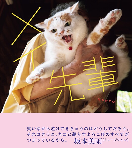 メイ先輩