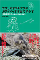 先生、オオゴキブリがカワイイって本当ですか？