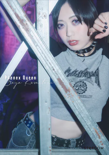 Bikiniing12 STARDOM VISUAL BOOK（最新刊） - スターダム - 写真集