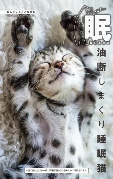 眠〜ねむるネコ〜 - 写真集 - DMMブックス
