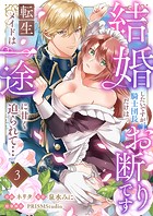 結婚したいですが、騎士団長だけはお断りです 〜転生メイドは一途に甘く迫られて…（3）