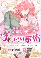 同居している大魔法使い様の子づくり事情 こっそり家を出るつもりが、絶倫えっちで蕩けるほど溺愛されてます（3）