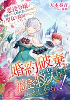 婚約破棄されましたが、泣き寝入りはいたしません！〜悪役令嬢は身勝手な元婚約者に囚われた聖女を救出することにしました〜 1