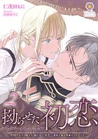 堅物アルファ騎士の拗らせた初恋〜運命の番は男娼オメガでした〜