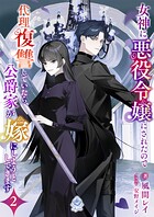 女神に悪役令嬢にされたので代理復讐していたら、公爵家が嫁にしようとしてきます 2