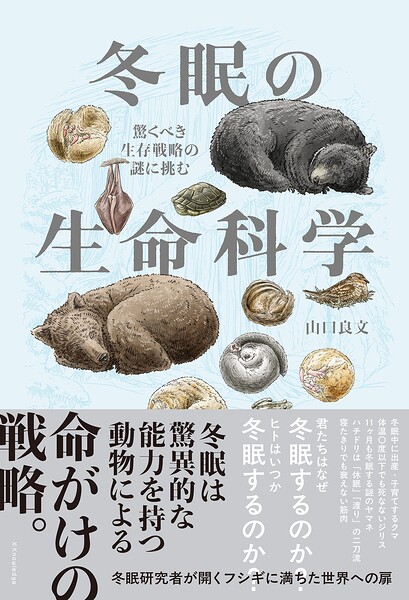 冬眠の生命科学