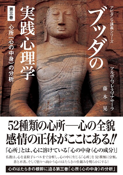 ブッダの実践心理学 第三巻 心所（心の中身）の分析