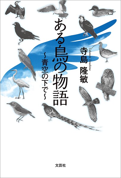 ある鳥の物語 〜青空の下で〜