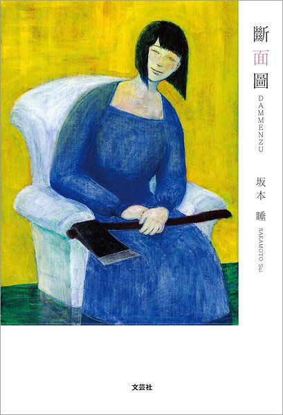 斷面圖
