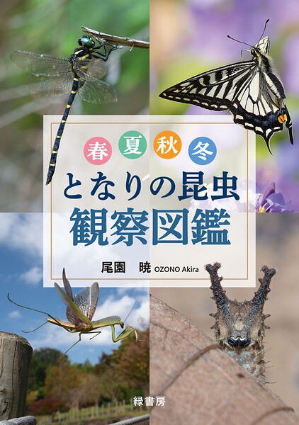 春夏秋冬 となりの昆虫観察図鑑 ／尾園暁 （緑書房）
