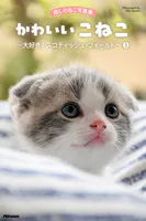 癒しのねこ写真集 かわいいこねこ 〜大好き！ スコティッシュ・フォールド〜 3