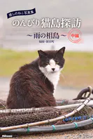 癒しのねこ写真集 のんびり猫島探訪 〜雨の相島〜 中編