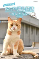 癒しのねこ写真集 のんびり猫島探訪 〜夏めく男木島〜 vol.1