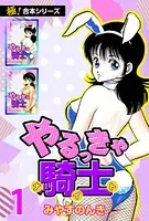 【極！合本シリーズ】 やるっきゃ騎士