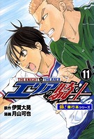 エリアの騎士【極！単行本シリーズ】11巻