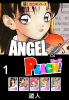 【極！超合本シリーズ】ANGEL＆PEACH