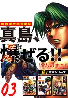 【極！合本シリーズ】陣内流柔術流浪伝 真島、爆ぜる！！3巻
