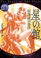 星の館23 奴隷達の条件