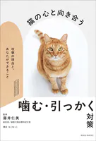 猫の心と向き合うかむ・引っかく対策 〜攻撃の理由と、あなたができること