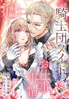 とある騎士団メイドの多忙なお仕事事情(単話)