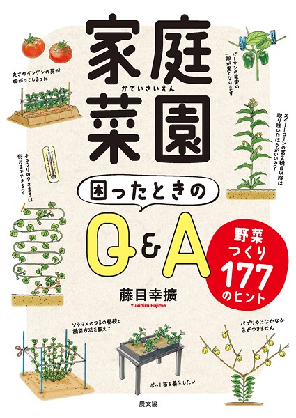 家庭菜園 困ったときのQ＆A